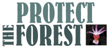 Protect The Forest